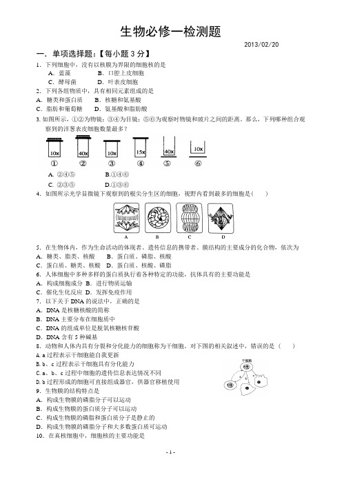 必修一寒假检测