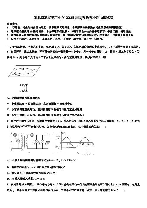 湖北省武汉第二中学2025届高考临考冲刺物理试卷含解析