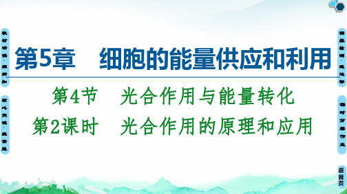 【新教材】光合作用的原理和应用 课件 【新教材】人教版高中生物必修第一册