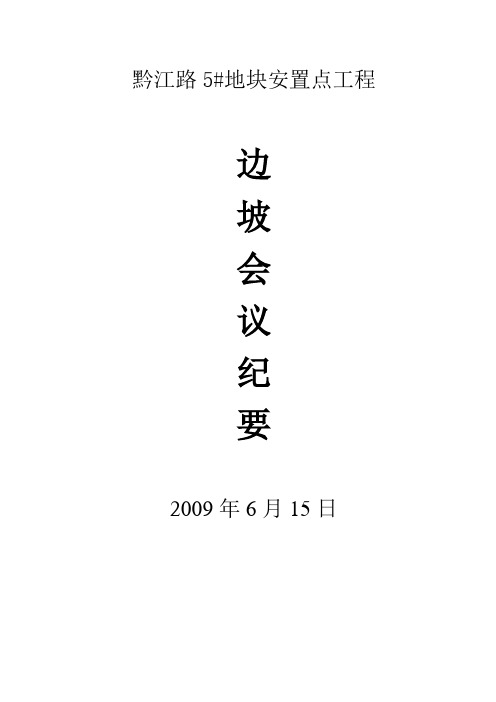 边坡专题会议纪要2009年6月15