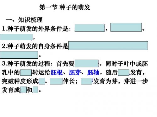 开花和结果讲课课件