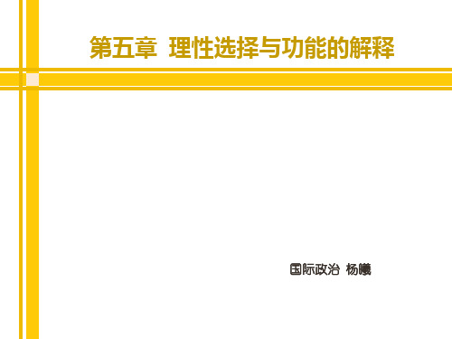 《国际政治 第五章  理性选择与功能的解释》