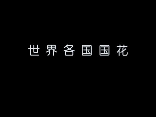 世界各国国花