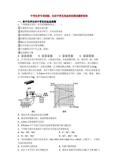 中考化学专项训练：生活中常见的盐培优测试题附答案