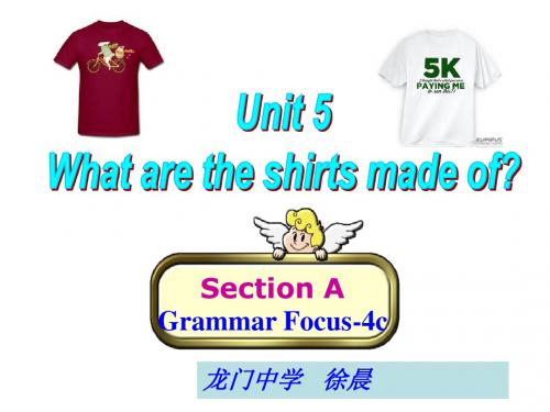 人教版英语九全Unit5 Section A(Grammar Focus-4c)(共30张PPT)