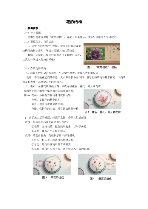 修改 《花的结构》微课实录(魏蒙蒙)