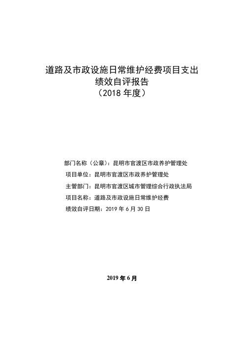 道路及政设施日常维护经费项目支出