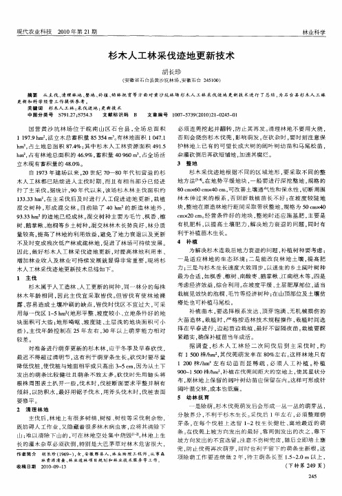 杉木人工林采伐迹地更新技术