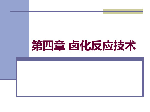 卤化反应技术.ppt