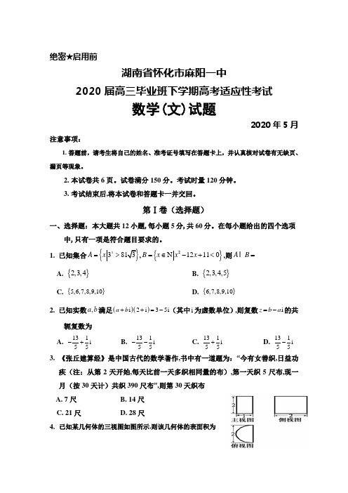 湖南省怀化市麻阳一中2020届高三下学期高考适应性考试文科数学试卷