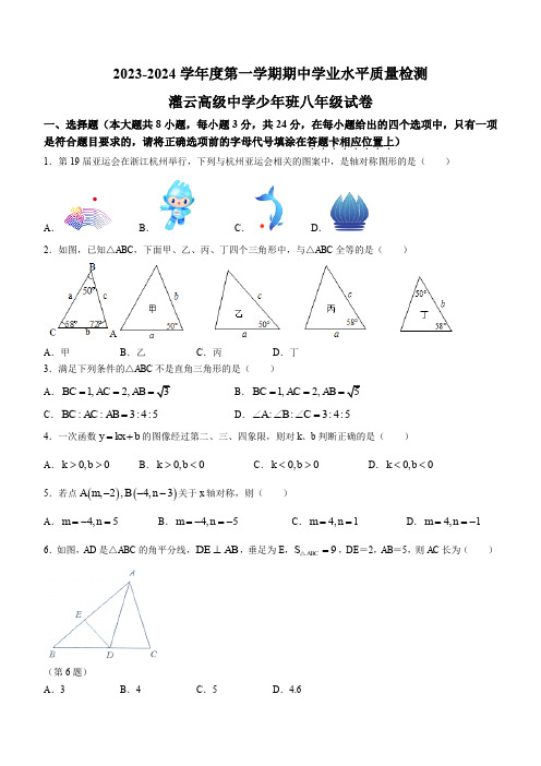 2023-2024学年江苏省连云港市灌云高级中学少年班八年级上学期期中数学试卷