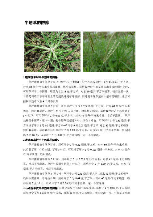 草坪锄草攻略