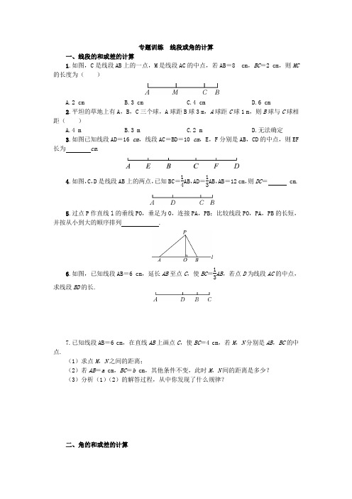 七年级数学上册专题训练  线段或角的计算