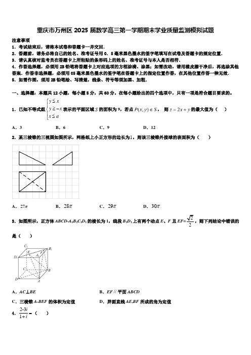 重庆市万州区2025届数学高三第一学期期末学业质量监测模拟试题含解析