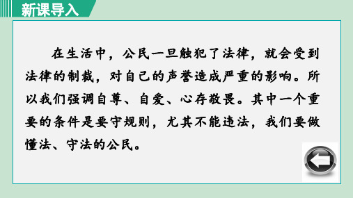 人教版八年级政治上册 第二单元 第五课 做守法公民 5.1 法不可违