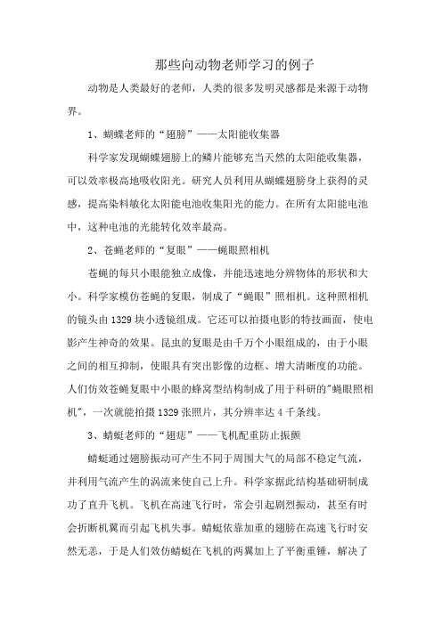 那些向动物老师学习的例子