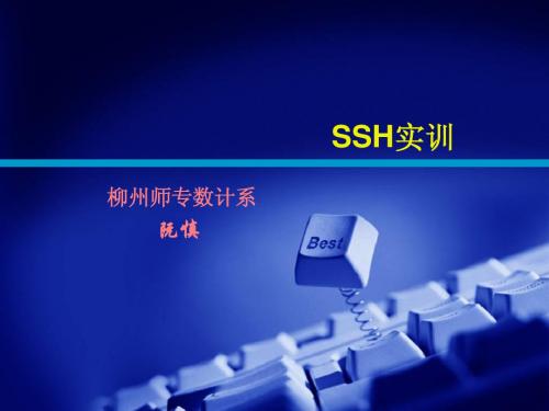 SSH2实训(软件技术)