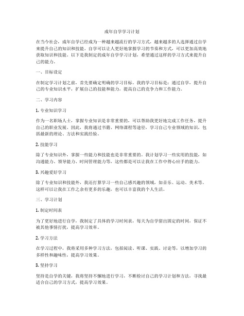 成年自学学习计划