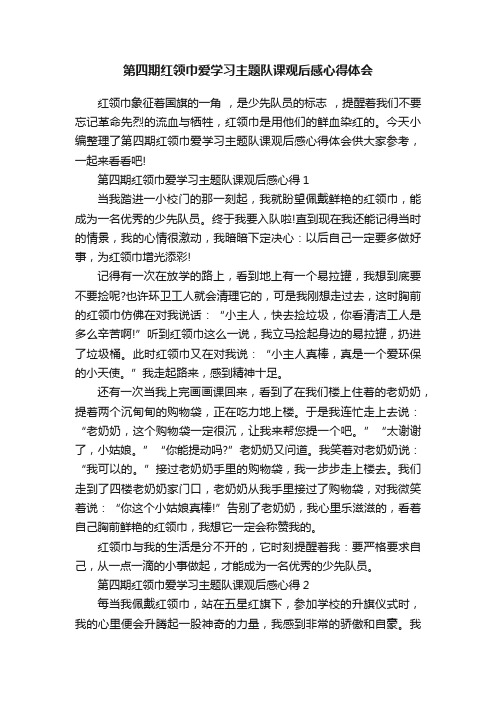 第四期红领巾爱学习主题队课观后感心得体会