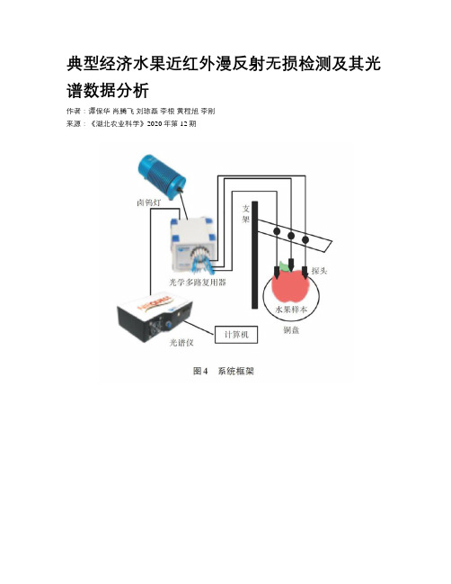 典型经济水果近红外漫反射无损检测及其光谱数据分析