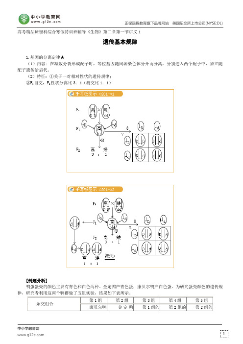 遗传基本规律--高考精品班理科综合寒假特训班辅导《生物》第二章第一节讲义1