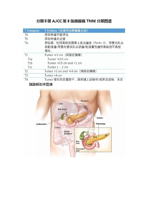 分期手册AJCC第8版胰腺癌TNM分期图谱