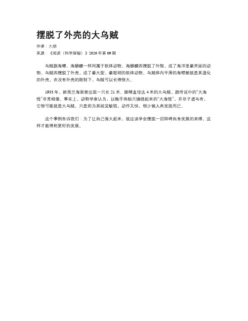 摆脱了外壳的大乌贼