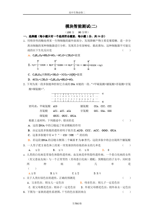 人教版试题试卷遗传与进化 模块测评  4