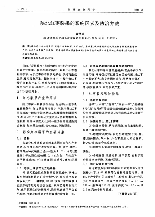 陕北红枣裂果的影响因素及防治方法