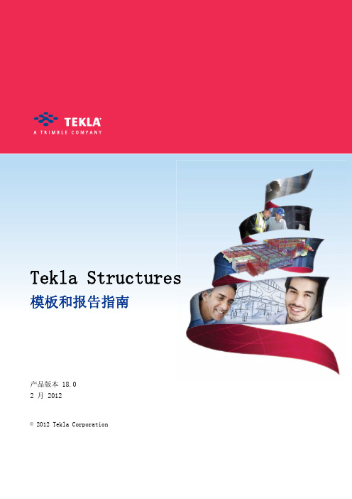 (仅供参考)TEKLA18.0模板和报告指南