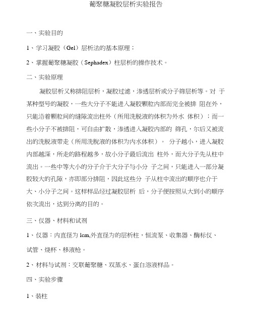 葡聚糖凝胶层析实验报告总结.docx