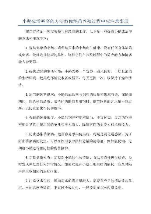 小鹅成活率高的方法教你鹅苗养殖过程中应注意事项