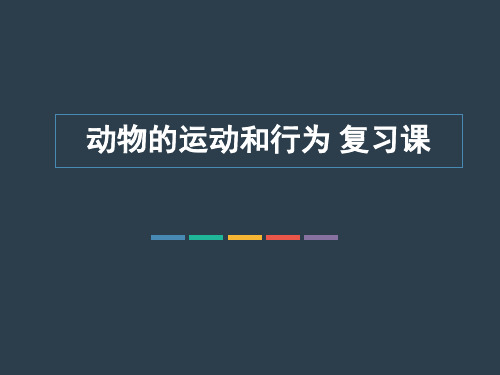 动物的运动和行为 复习课分析PPT精品文档16页