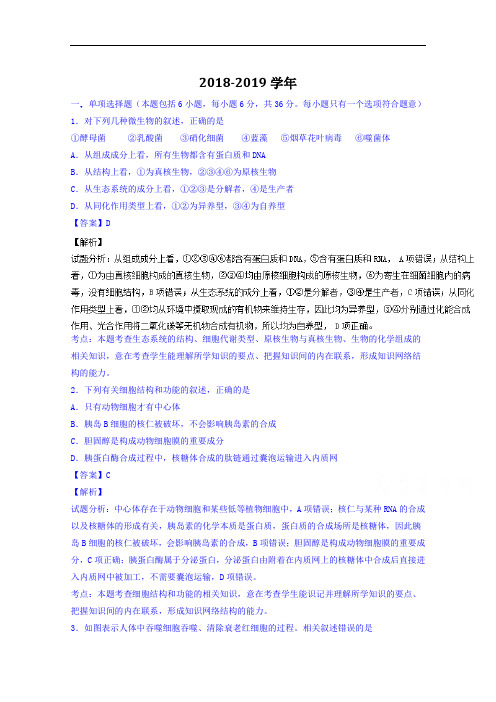 广东省汕尾市甲子中学陆丰市2018-2019学年高三上学期第一次周考理综生物试题 Word版含解析