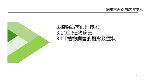 植物病害识别技术—认识植物病害