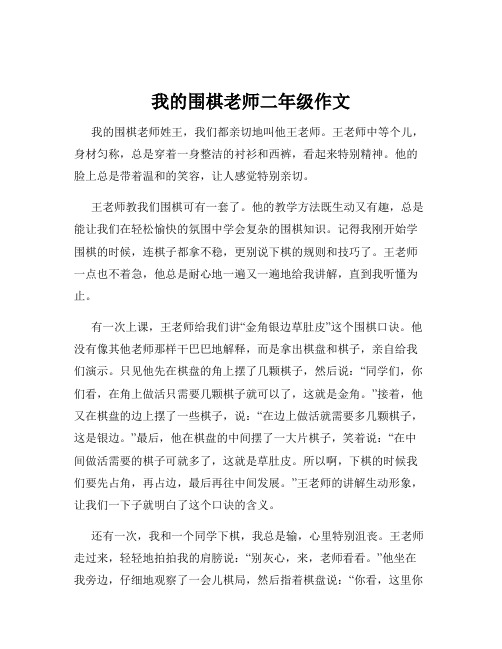 我的围棋老师二年级作文