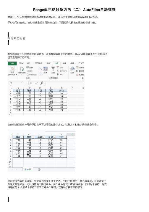 Range单元格对象方法（二）AutoFilter自动筛选