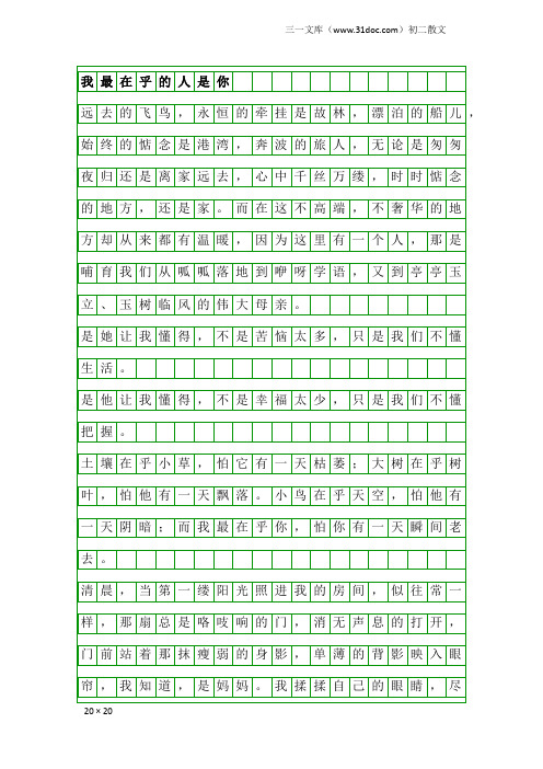 初二散文：我最在乎的人是你