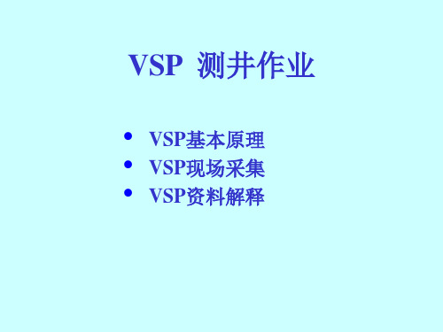 VSP测井作业