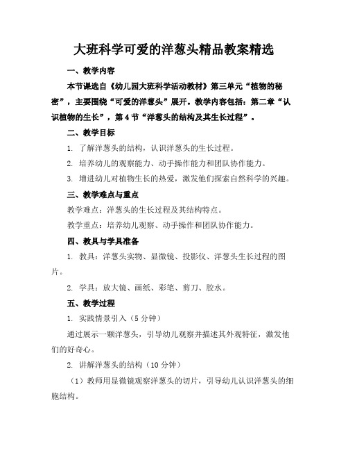 大班科学可爱的洋葱头精品教案精选