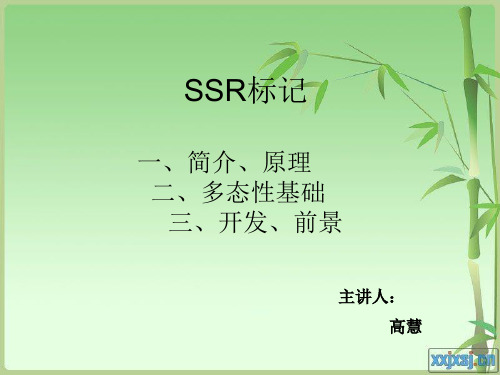 分子标记SSR标记