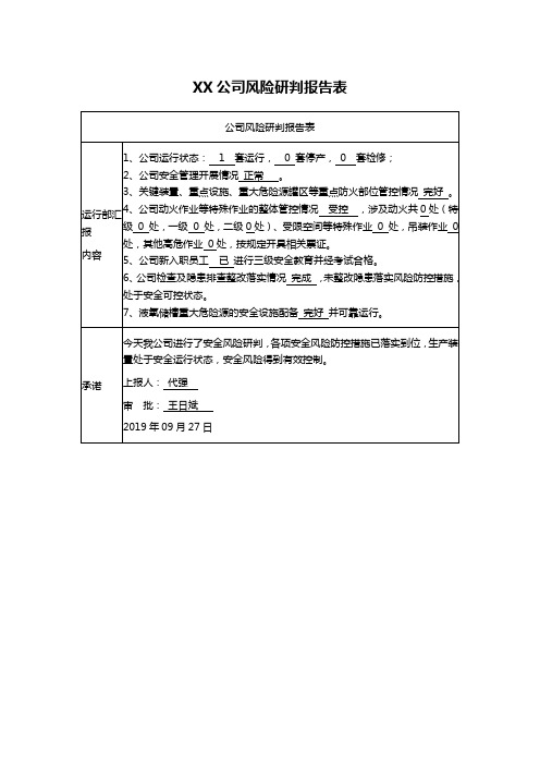 XX公司风险研判报告表