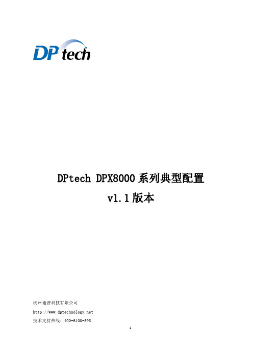 DPtechDPX8000系列典型配置v11