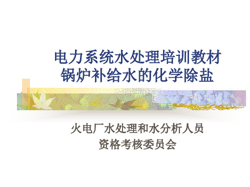 第二章锅炉补给水的化学除盐案例