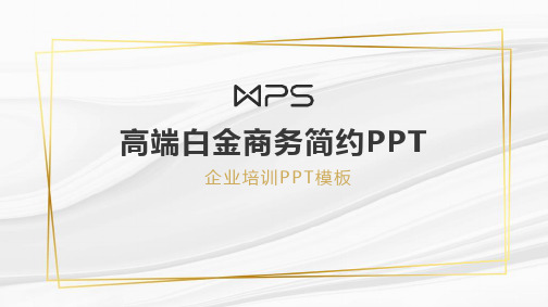 高端白金商务简约PPT