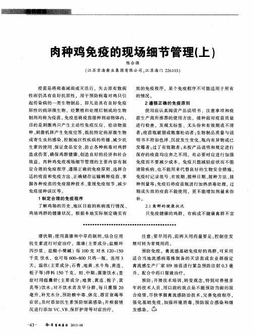 肉种鸡免疫的现场细节管理(上)