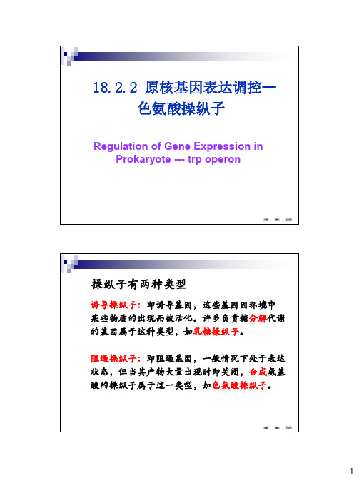 18.2.2原核基因表达调控——色氨酸操纵子