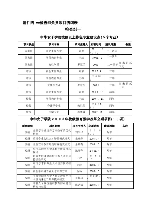 XX检查组负责项目明细表