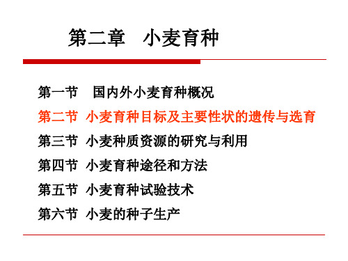 第二节 小麦育种目标及主要性状遗传与选育 作物育种学各论课件