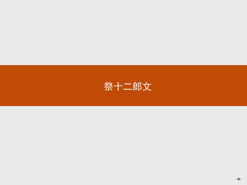 2015-2016学年高二语文选修《中国古代诗歌散文欣赏》课件5.3祭十二郎文 .ppt